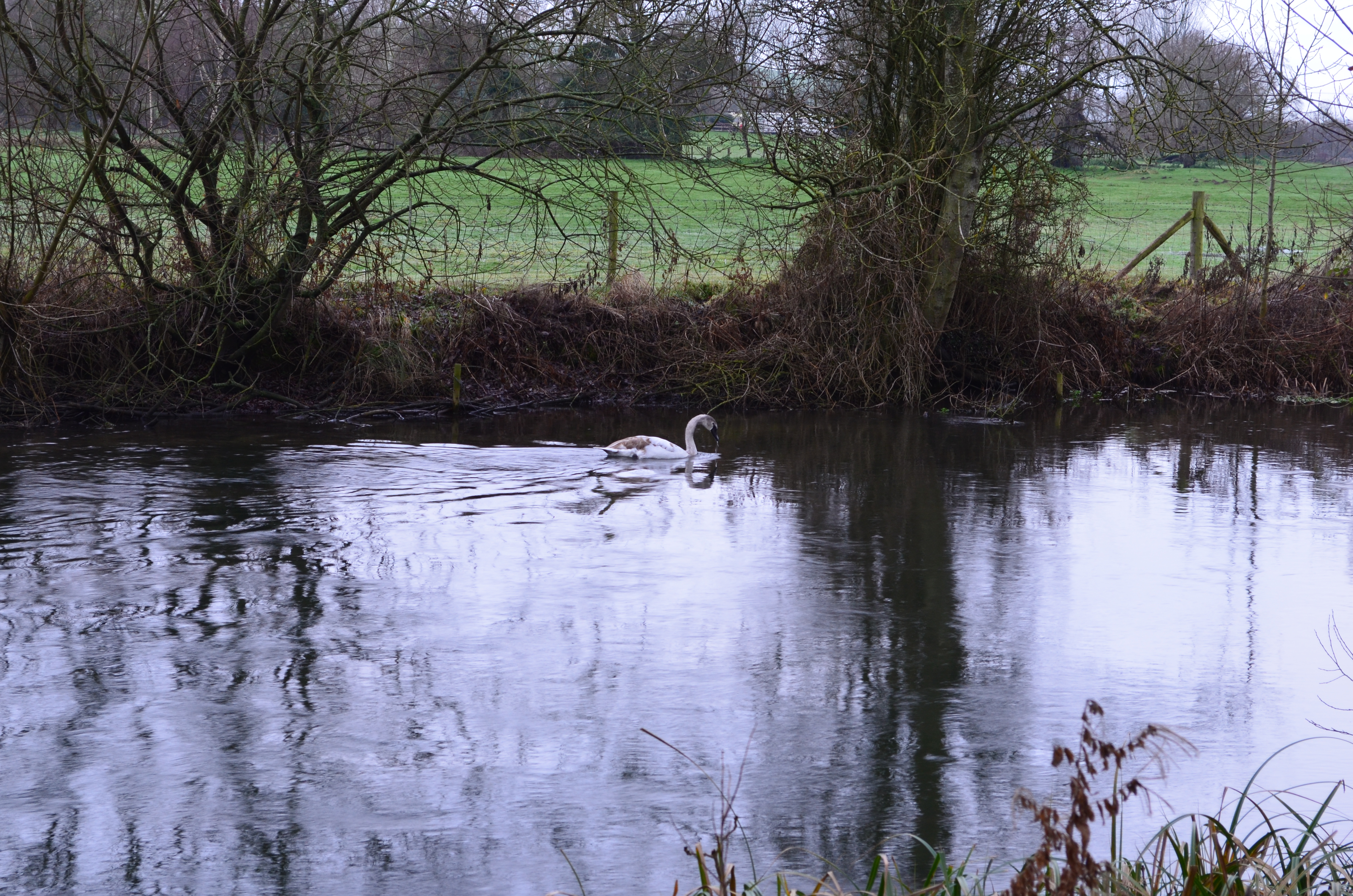 ./2018/15 - London/04 - Day 4/DSC_0553.JPG